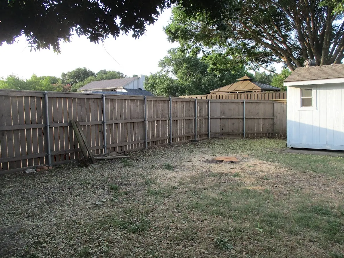 Cleared yard after professional tree removal in Sherwood